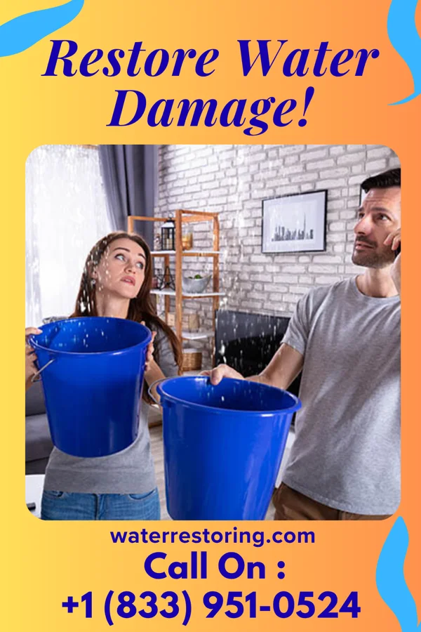 water restoration Lightning Damage Recovery Brothers Offerman