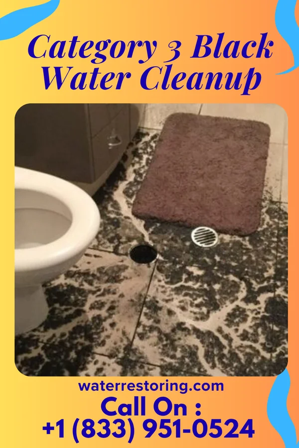 Category 3 Black Water Cleanup in Offerman, GA