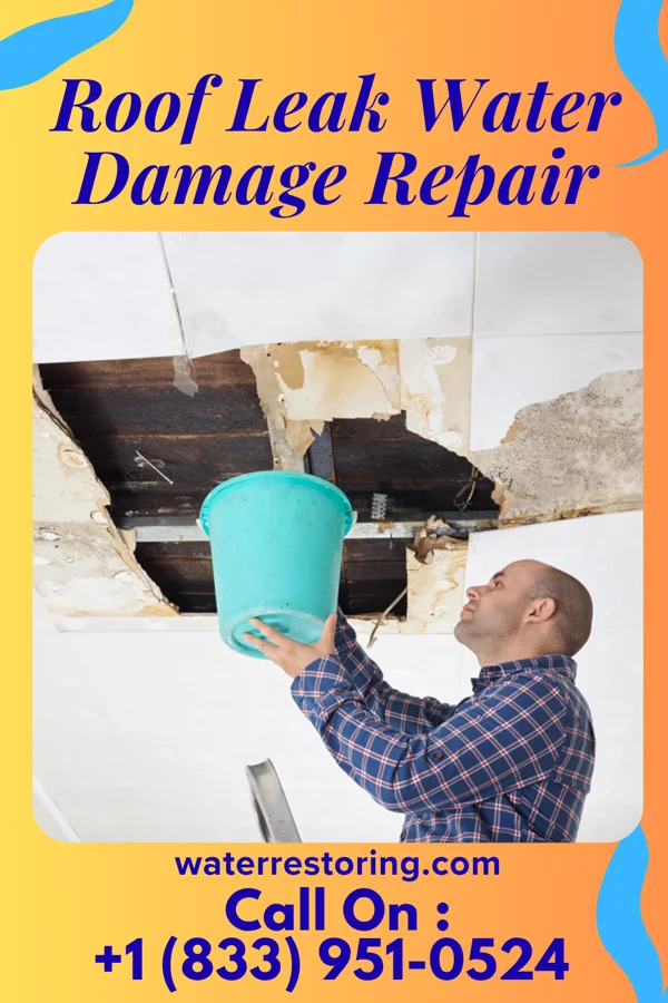 Roof Leak Water Damage Repair in Offerman, GA